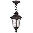 Livex Lighting Oxford Outdoor Chain Hang in Bronze