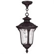 Livex Lighting Oxford Outdoor Chain Hang in Bronze