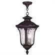 Livex Lighting Oxford Outdoor Chain Hang in Bronze
