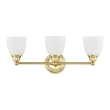 Livex Lighting Somerville Bath Light in Polished Brass