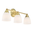 Livex Lighting Somerville Bath Light in Polished Brass