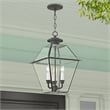 Livex Lighting Westover Outdoor Chain Lantern  in Charcoal