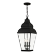 Livex Lighting Exeter Outdoor Chain Lantern  in Black
