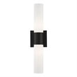 Livex Lighting Aero 2-Light Twist Lock Metal ADA Vanity Sconce in Black