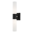 Livex Lighting Aero 2-Light Twist Lock Metal ADA Vanity Sconce in Black