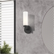Livex Lighting Aero 1-Light White Metal Single Wall Sconce in Black