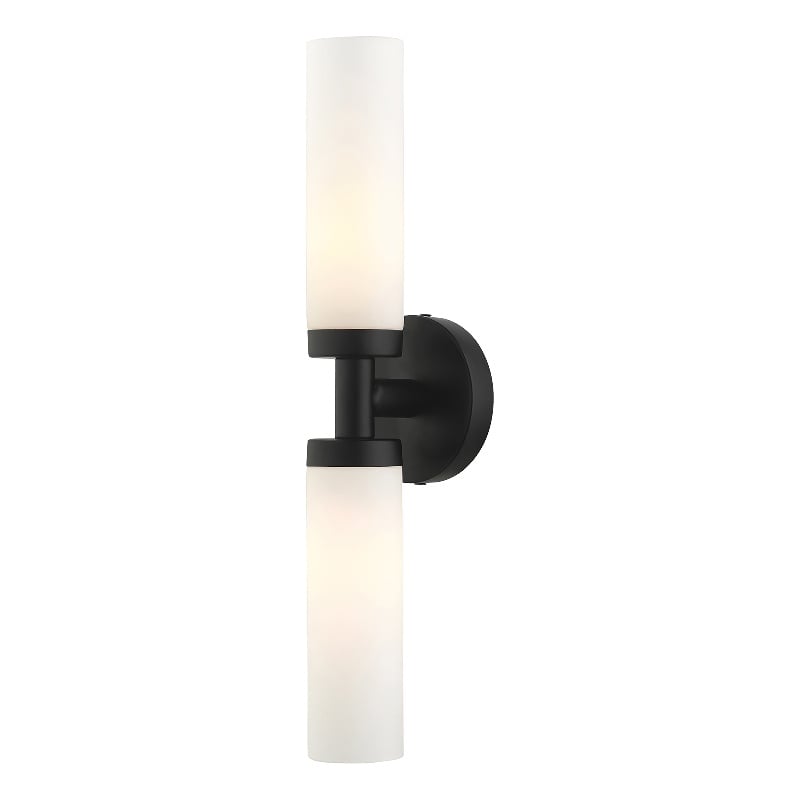 Livex Lighting Aero 2-Light Glass & Metal ADA Vanity Sconce in Black