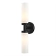 Livex Lighting Aero 2-Light Glass & Metal ADA Vanity Sconce in Black