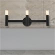 Livex Lighting Copenhagen 3-Light Metal Bath Vanity Sconce in Black