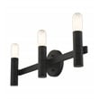 Livex Lighting Copenhagen 3-Light Metal Bath Vanity Sconce in Black