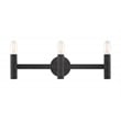 Livex Lighting Copenhagen 3-Light Metal Bath Vanity Sconce in Black