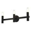 Livex Lighting Copenhagen 3-Light Metal Bath Vanity Sconce in Black