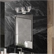 Livex Lighting Aragon 3-Light Metal/Glass Bath Vanity Lighting in Brushed Nickel