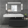 Livex Lighting Aero 2-Light Glass/Metal ADA Vanity Sconce in Brushed Nickel