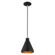 Livex Lighting Geneva 1-Light Contemporary Metal Single Pendant in Black