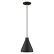 Livex Lighting Geneva 1-Light Contemporary Metal Single Pendant in Black