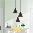 Livex Lighting Geneva 1-Light Contemporary Metal Single Pendant in Black