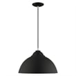 Livex Lighting 1-Light Transitional Metal Single Pendant in Black