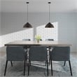 Livex Lighting 1-Light Transitional Metal Single Pendant in Black