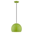 Livex Lighting 1-Light Modern Metal Single Pendant with Shade in Apple Green
