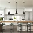 Livex Lighting Waldorf 1-Light Modern Metal Single Pendant in Black