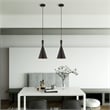 Livex Lighting Waldorf 1-Light Modern Metal Single Pendant in Black