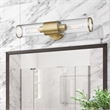 Livex Lighting Banca 2-Light Metal & Glass ADA Vanity Sconce in Antique Brass