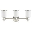 Livex Lighting Middlebush 3-Light Metal & Glass Bath Light in Polished Nickel
