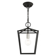 Livex Lighting Devone 1-Light Transitional Metal Convertible Lantern in Black