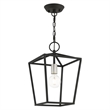 Livex Lighting Devone 1-Light Transitional Metal Convertible Lantern in Black