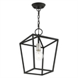Livex Lighting Devone 1-Light Transitional Metal Convertible Lantern in Black