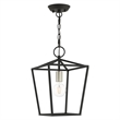 Livex Lighting Devone 1-Light Transitional Metal Convertible Lantern in Black