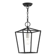Livex Lighting Devone 1-Light Transitional Metal Convertible Lantern in Black