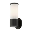 Livex Lighting Norfolk 1-Light Metal Outdoor Wall Lantern in Textured Black