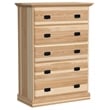 A-America Amish Highlands 5-Drawer Contemporary Wood Chest in Light Natural
