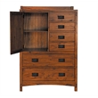 A-America Mission Hills 1-Door Contemporary Wood Chest in Harvest Brown