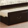 Furniture of America Liam Traditional Wood Twin Daybed with Trundle in Espresso