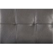 Furniture of America Hollie Contemporary Faux Leather Sleeper Sofa Bed in Gray