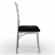 Furniture of America Halliway Stainless Steel Dining Chair in Silver (Set of 2)