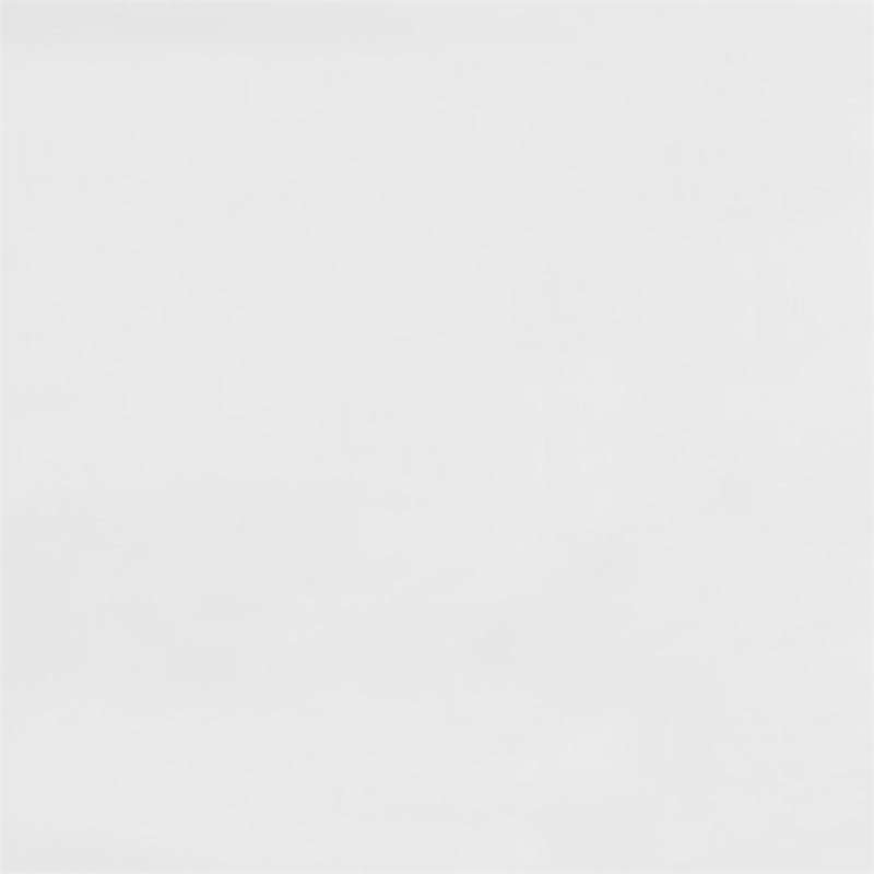 Furniture of America Moya Glass Top Rectangle Dining Table in White