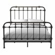 Furniture of America Cecil Transitional Metal Bed King Spindle in Antique Black