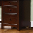 Furniture of America Dimanche Transitional Solid Wood Desk in Dark Walnut