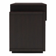 Furniture of America Santex Contemporary Wood 60-Inch TV Stand in Cappuccino