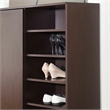 Furniture of America Bert Modern Engineered Wood Shoe Cabinet in Walnut