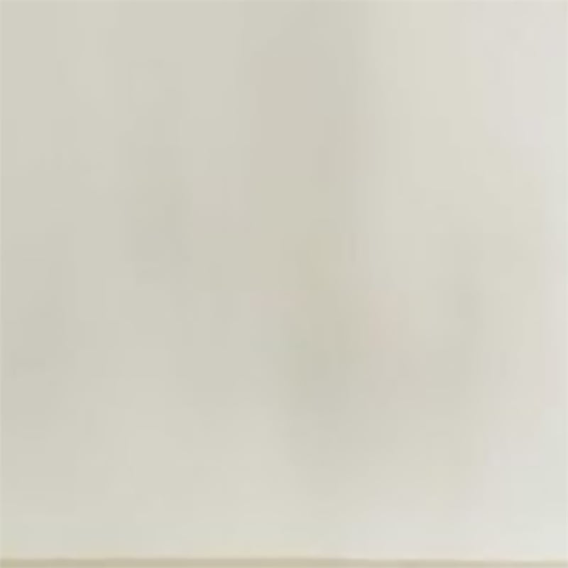 Furniture of America Queens Contemporary Wood Frame Wall Mirror in Silver