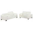 Furniture of America Salter Contemporary Faux Leather 2-Piece Sofa Set in White