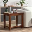 Furniture of America Granger Transitional Wood 1-Shelf End Table in Cherry