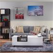 Furniture of America Sydney Modern Wood Storage Coffee Table in White and Black