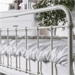 Furniture of America Celinda Metal King Spindle Bed in Vintage White