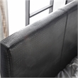 Furniture of America Nicole Faux Leather Queen Platform Bed in Black